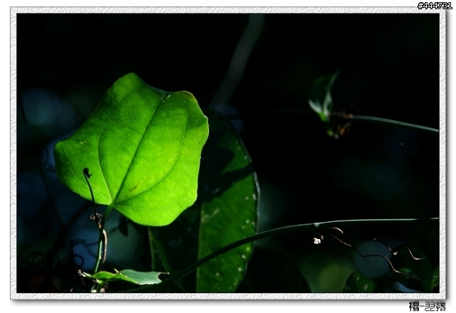 [分享]出門一鏡到底的Tamron 24-135mm