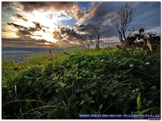 Tokina 12-24 新入手試拍12-12-2006