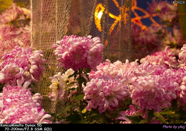 [測試]當α系統新生兒SONY Planar T* 85/1.4 ZA遇上老大哥Minolta 85/1.4G 及 70-200SSM....