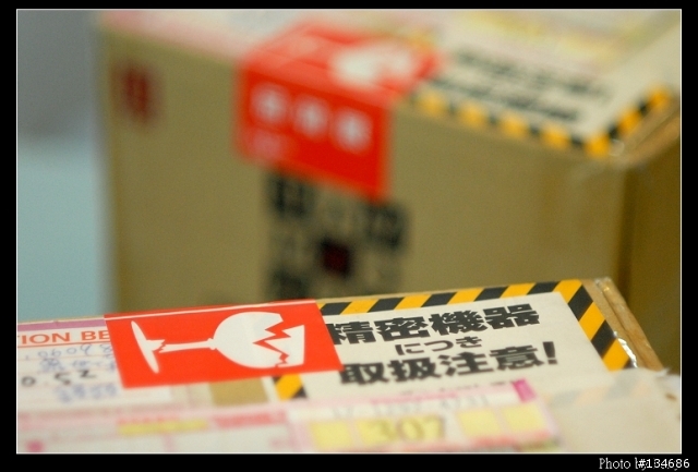 聖誕小黑貓叼來  Nikon AF 28mm F2.8D