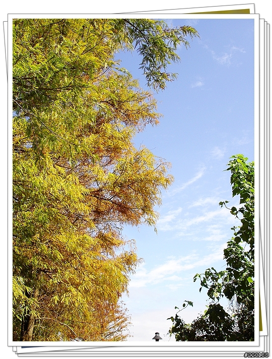 [分享] SONY W1~羅東運動公園一角