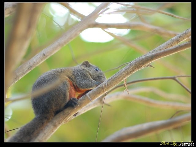 [分享] Ai 85mm F1.4S 老鏡實拍