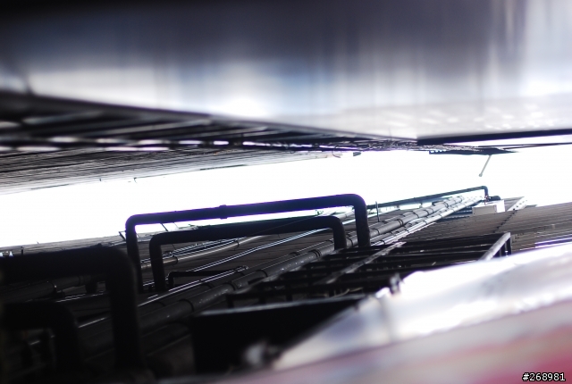 終於見識到NIKON 50/1.4D的紫邊了
