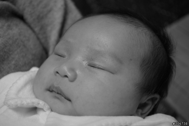 K10D FA 50 F1.4 黑白照片