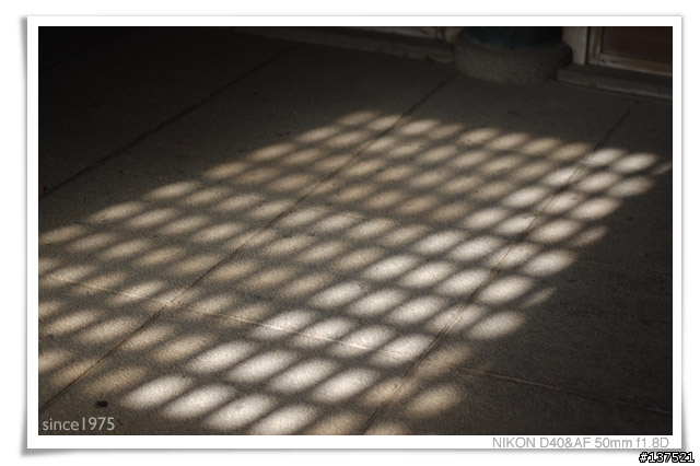 〔分享〕D40＋50mm 1.8 D歡迎同好來貼圖
