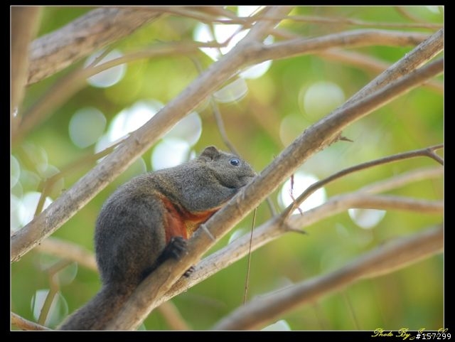 [分享] Ai 85mm F1.4S 老鏡實拍