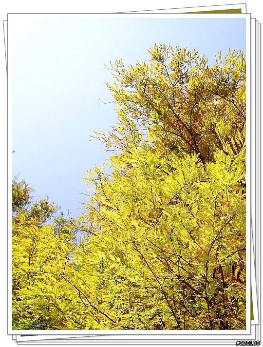 [分享] SONY W1~羅東運動公園一角
