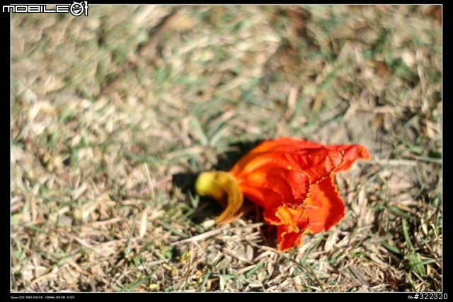 Pentacon 50 1.8入手（內含貼圖）