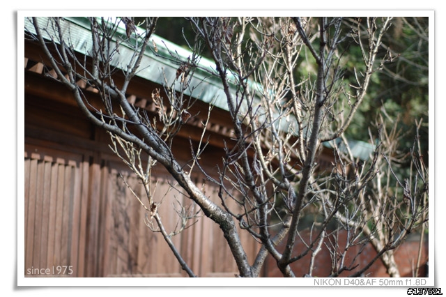 〔分享〕D40＋50mm 1.8 D歡迎同好來貼圖