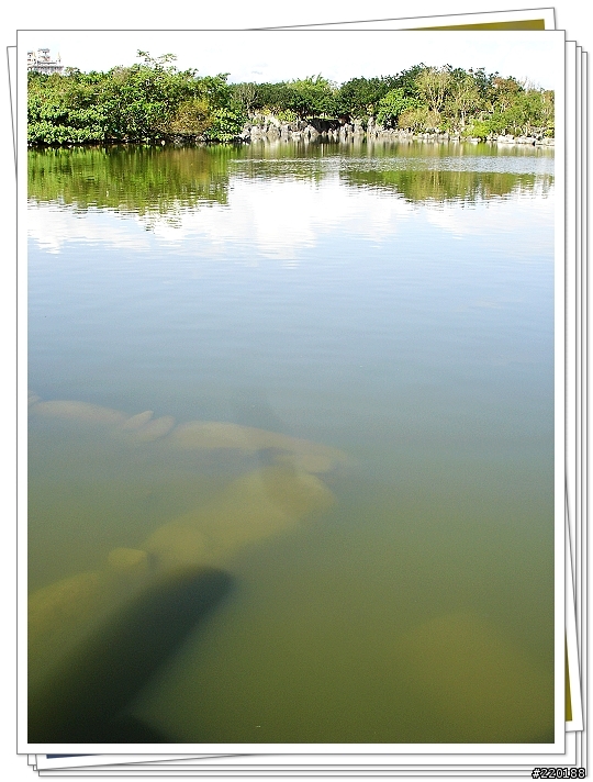 [分享]SONY W1羅東運動公園一角~續