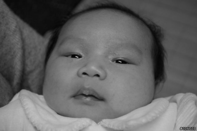 K10D FA 50 F1.4 黑白照片