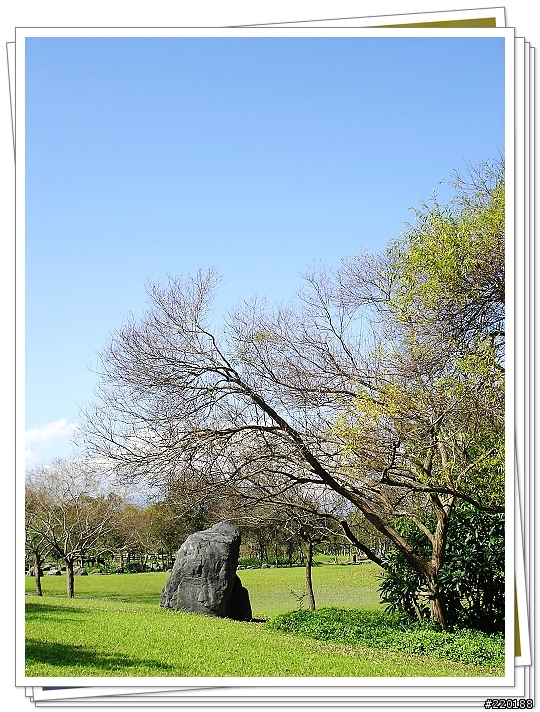 [分享]SONY W1羅東運動公園一角~續