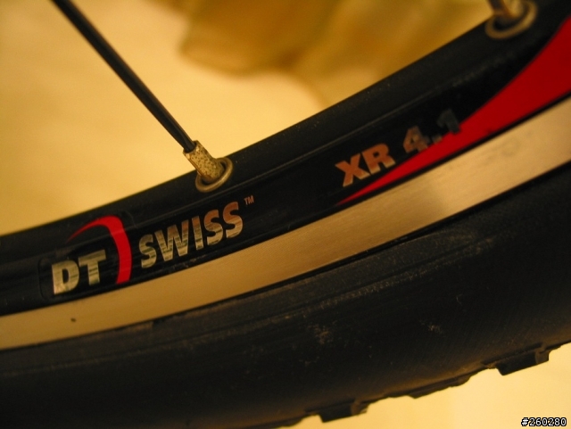 [分享]XTC COMPOSITE--老婆的新車Scott Contessa 40--更新日期970405
