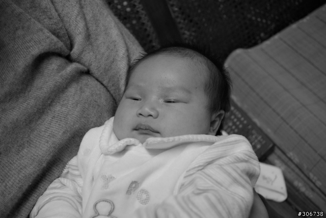 K10D FA 50 F1.4 黑白照片