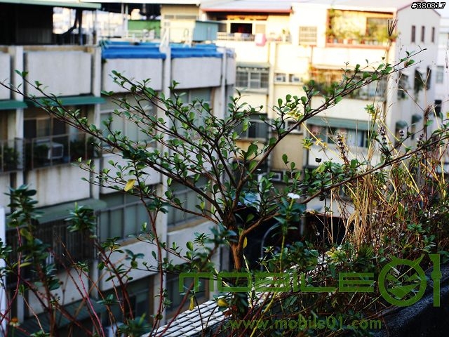[分享]Canon 400D+17-40 L 入手  [附上高鐵左營站夜拍]