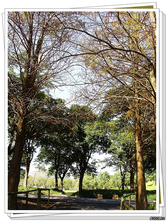 [分享] SONY W1~羅東運動公園一角