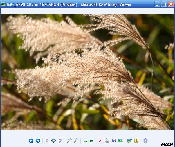 [分享]讓XP預覽RAW(更新支援Vista&Win7)
