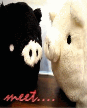 [W810i & K618i] monokuro 重發