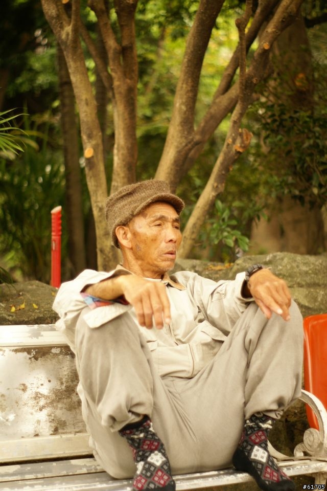 保安宮拜年 圖多