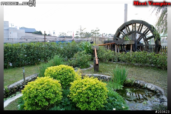 【餐廳】田野閒情－荷塘居