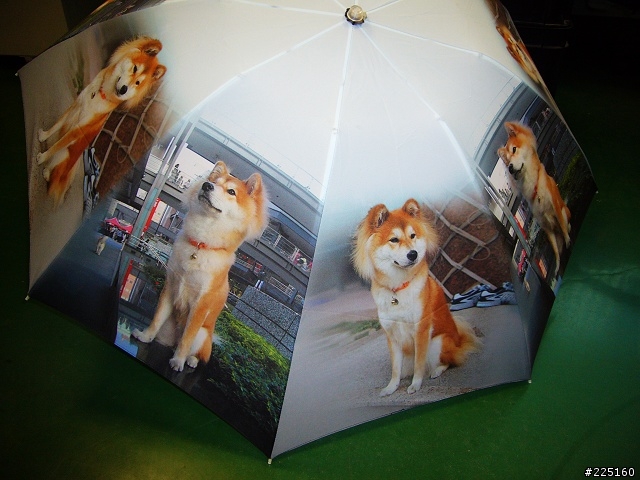 客製化雨傘