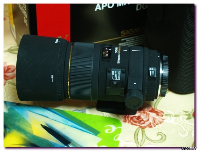 sigma 150 macro 試拍