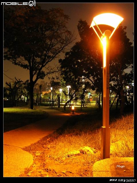 《無尾熊趴趴造》夜晚的綠寶石--夜拍高雄市中央公園