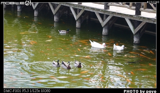 [分享]陽光、溫泉、美食-新社谷關兩日遊(1)-新社莊園