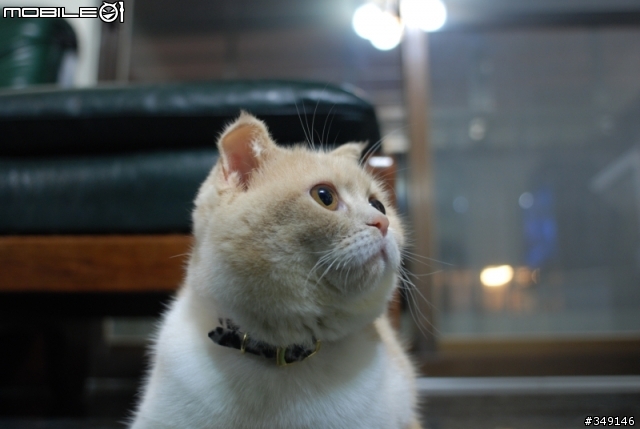 如何使用Nikkor 24mm 2.8 這支鏡頭?(補一些圖請與大家分享~)