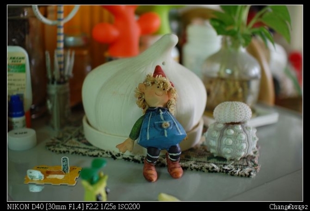 [分享]D40+SIGMA 30/F1.4 新手分享