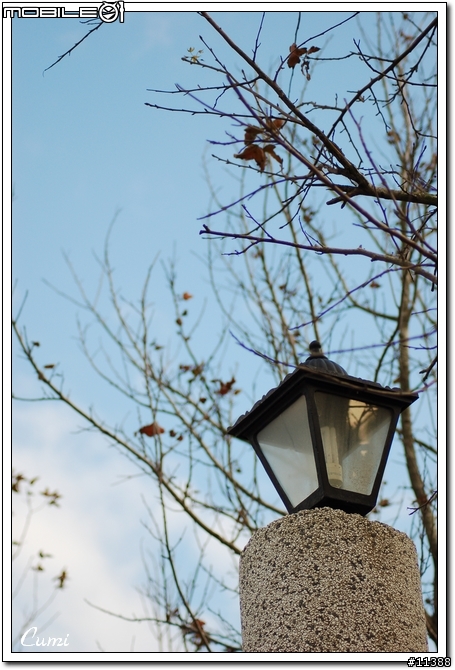 [ Nikkor 70-300mm F4-5.6G AF ] 台中都會公園外拍試鏡