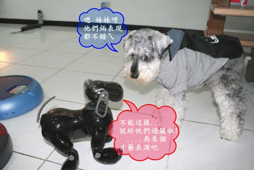 卡布+奇諾之Scooba & iRobot Roomba Easy 毒舌大評比