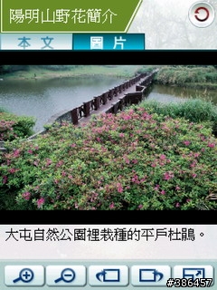 [分享]陽明花語帶你去賞花