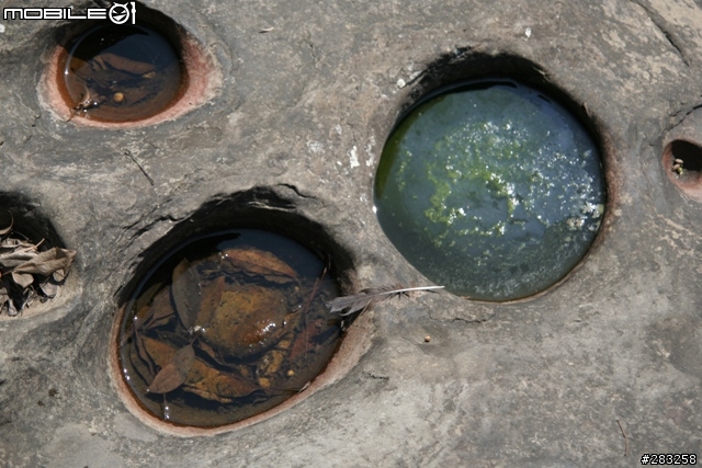 ~ 分享 ~(07.03.03) 南庄吃鱒魚