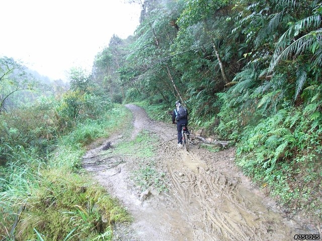 [分享]MTB越野入門路線-台北~宜蘭之桶后林道