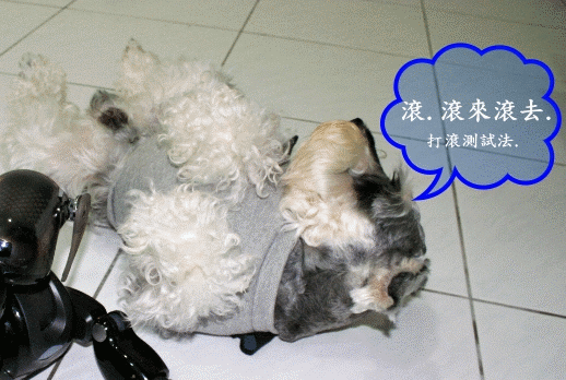 卡布+奇諾之Scooba & iRobot Roomba Easy 毒舌大評比
