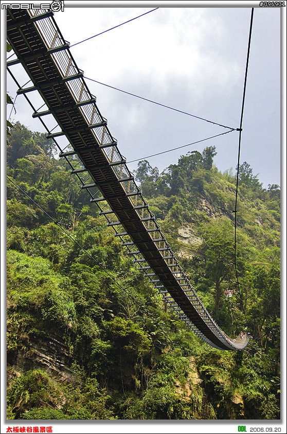 南投竹山梯子吊橋