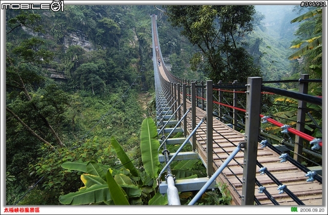 南投竹山梯子吊橋