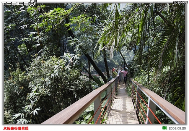 南投竹山梯子吊橋