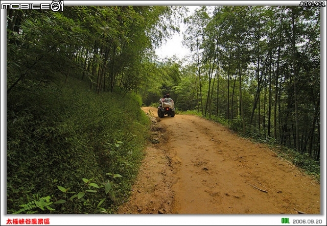 南投竹山梯子吊橋