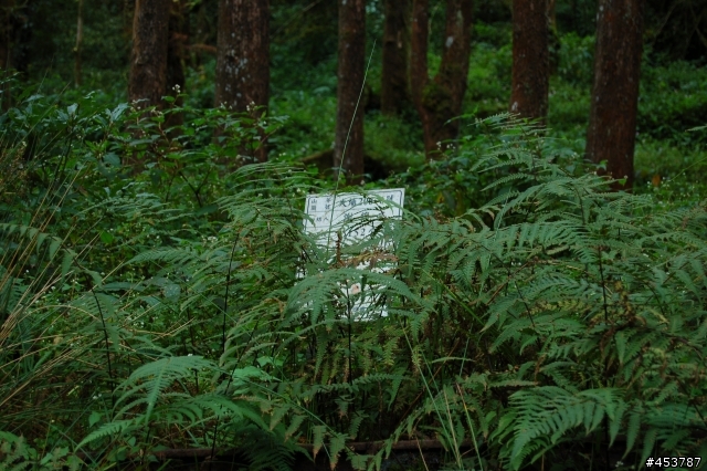 趕走懶骨頭的好所在~特富野古道