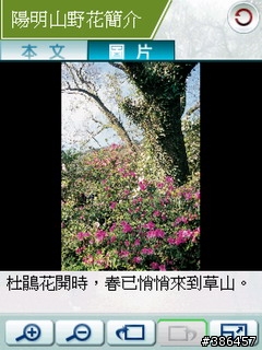 [分享]陽明花語帶你去賞花
