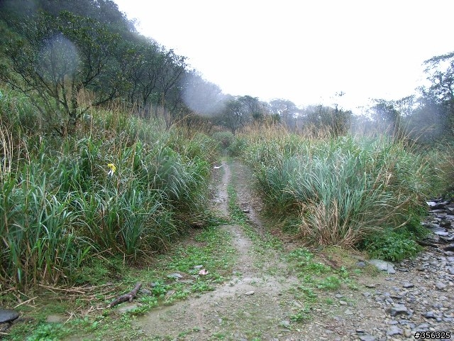 [分享]MTB越野入門路線-台北~宜蘭之桶后林道