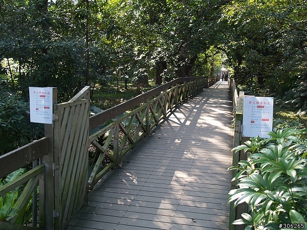 到台北植物園不要再餵松鼠了