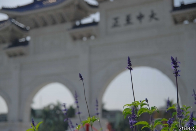 [解毒照]Tamron A16 專解毒 掛保證