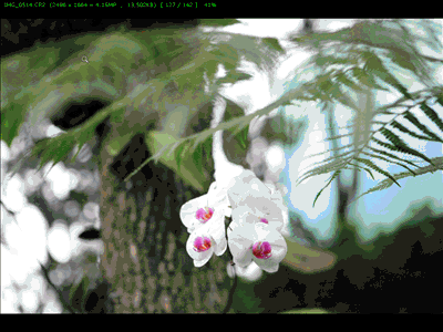 FastStone Image Viewer