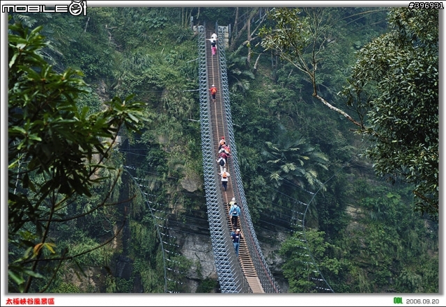 南投竹山梯子吊橋