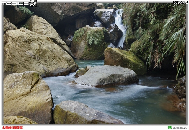 南投竹山梯子吊橋