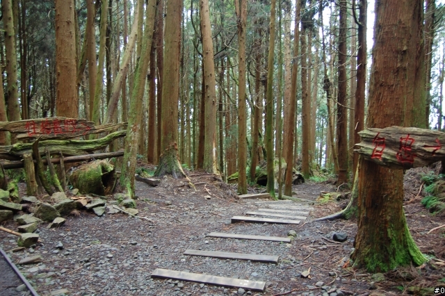 趕走懶骨頭的好所在~特富野古道