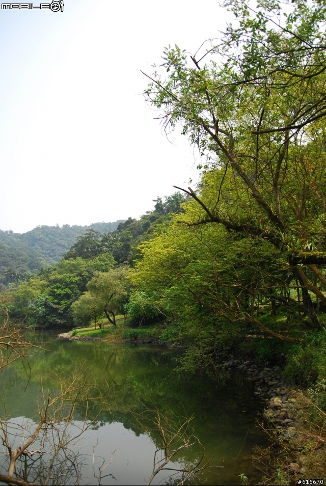 梅花湖